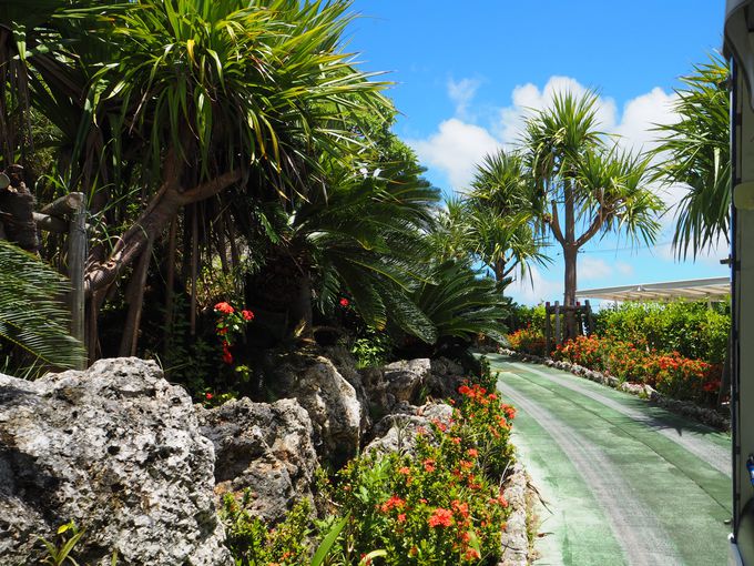 ÉFό̃nCCguÉFI[V^[vւfnI