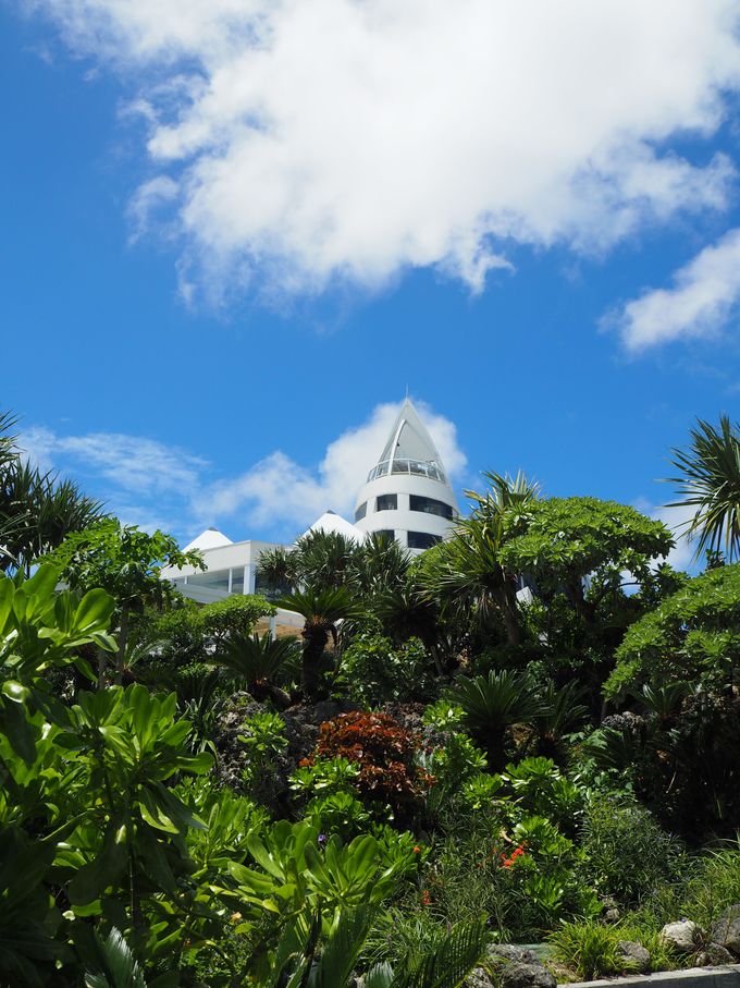 ÉFό̃nCCguÉFI[V^[vւfnI