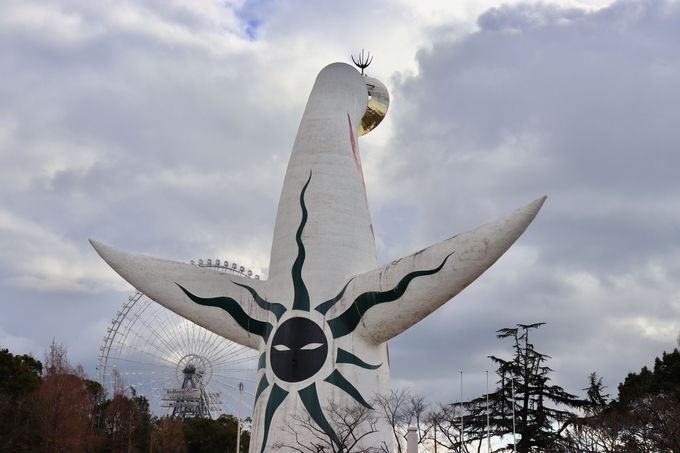 2018�N������ɓ������w���ĊJ�I