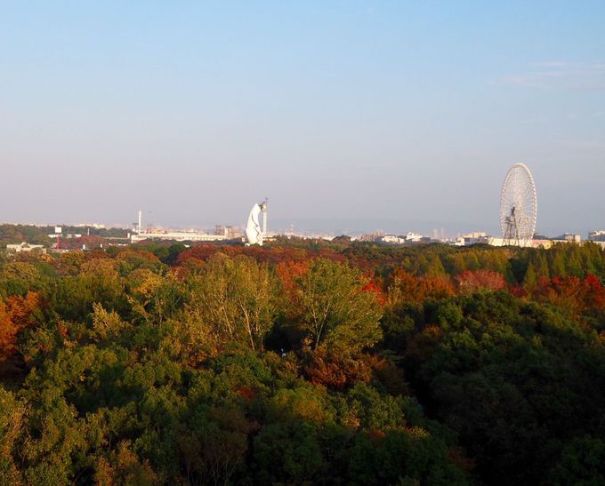 �ʐ^�B�e�͂P�K�̂�OK�B�uEXPO�f70�p�r���I���v����������