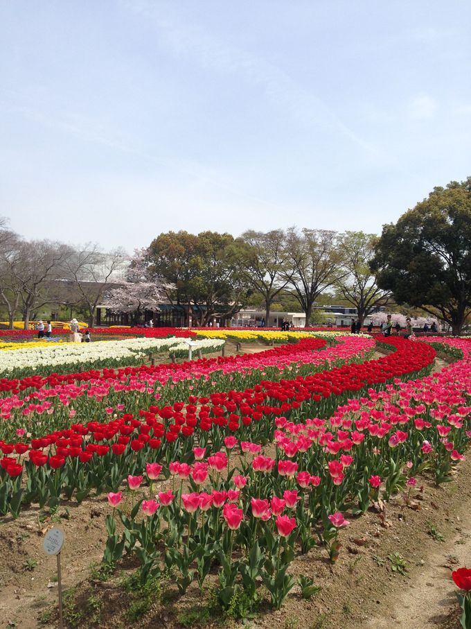 �ʐ^�B�e�͂P�K�̂�OK�B�uEXPO�f70�p�r���I���v����������