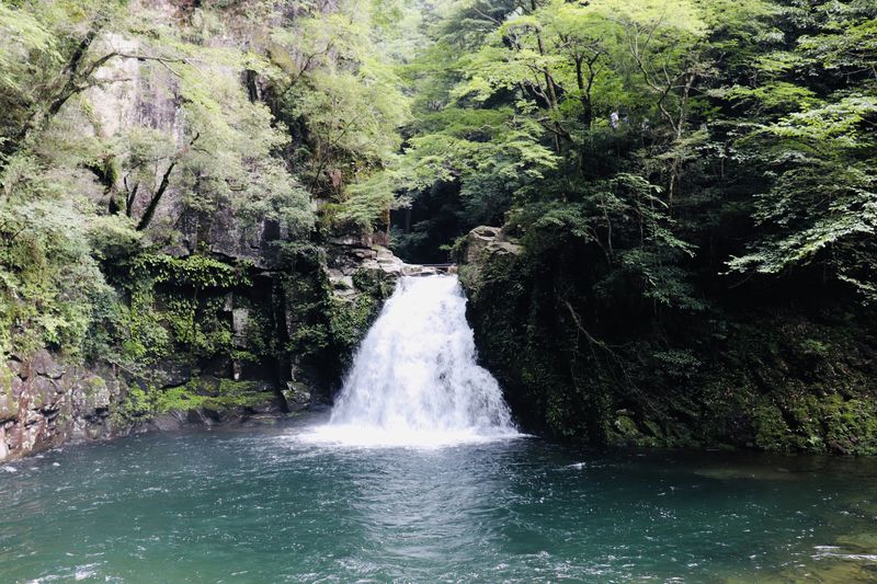 癒しの森林浴!三重「赤目四十八滝」所要時間別ハイキングコースガイド ...