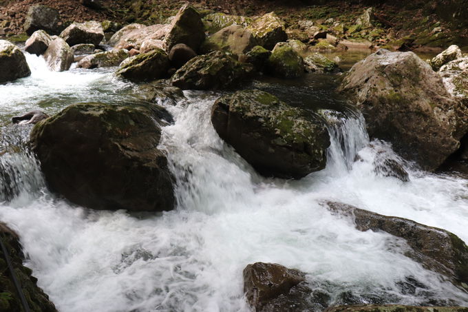 ������Ƒ�ό�����y30���R�[�X