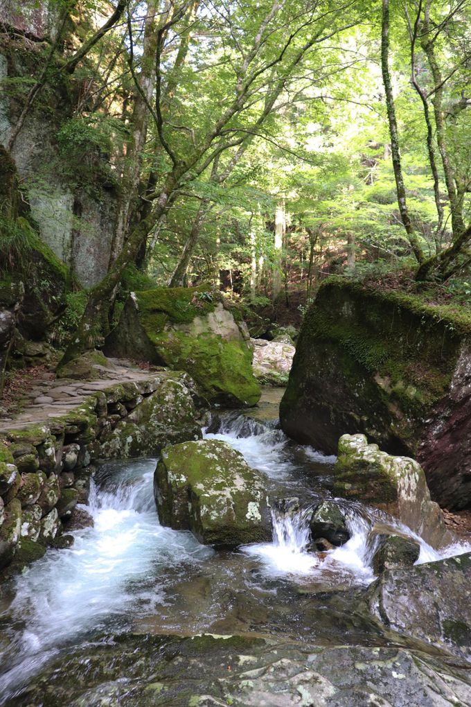 ���e�����R���ԃR�[�X