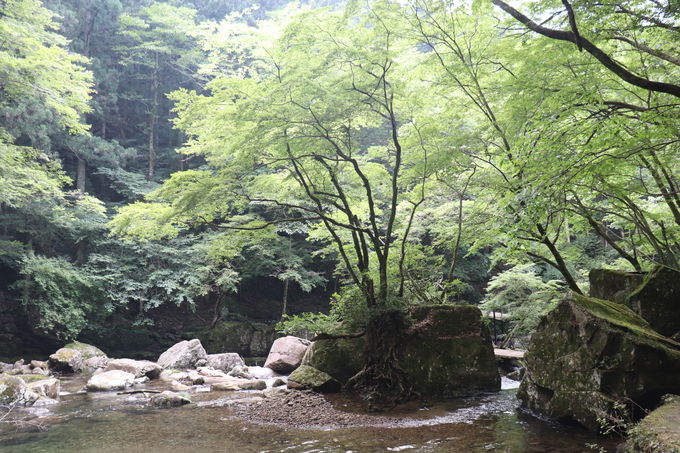 ���e�����R���ԃR�[�X