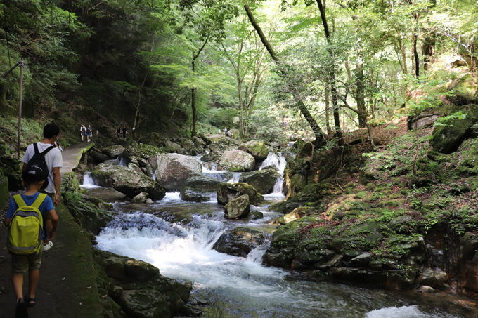 �Ԗڎl�\����̃C���t�H���[�V�����Ƃ����߂̗��R