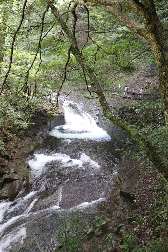 ������������S���Q���ԃR�[�X