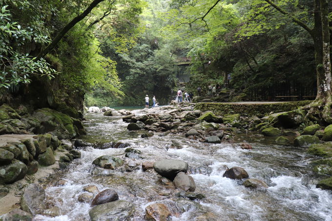 ������Ƒ�ό�����y30���R�[�X