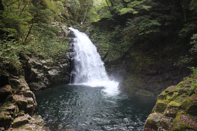 ������Ƒ�ό�����y30���R�[�X