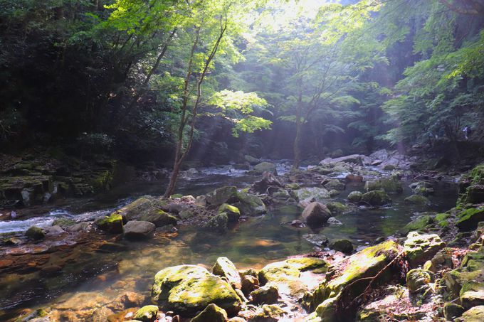 �������U��A��蒃���܂�Ԃ��P���ԃR�[�X