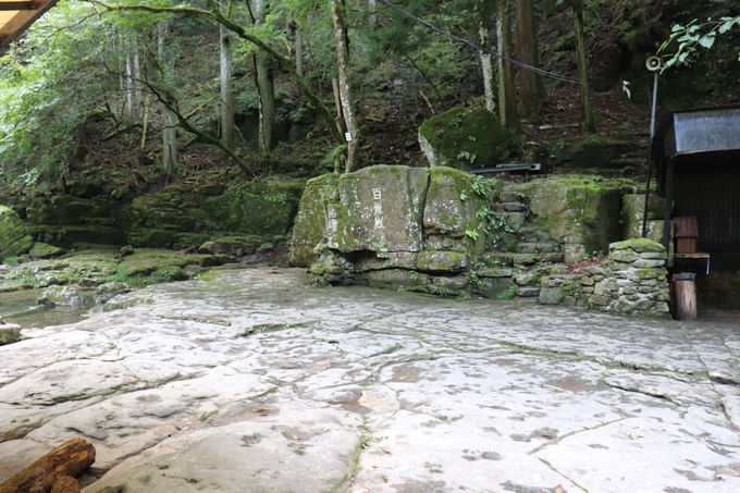 ������������S���Q���ԃR�[�X