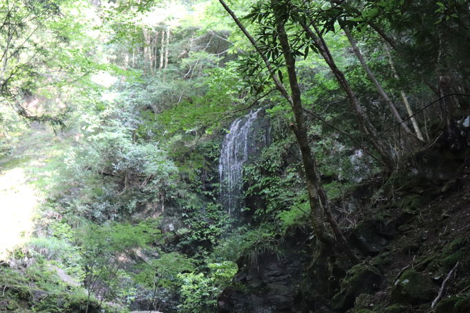 ������������S���Q���ԃR�[�X