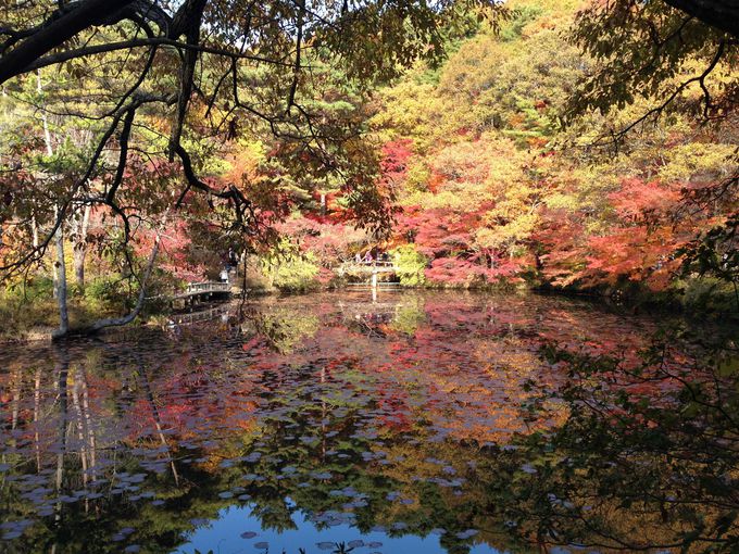 ̒SAJr͕KX|bgI܂ŊĜ悤I