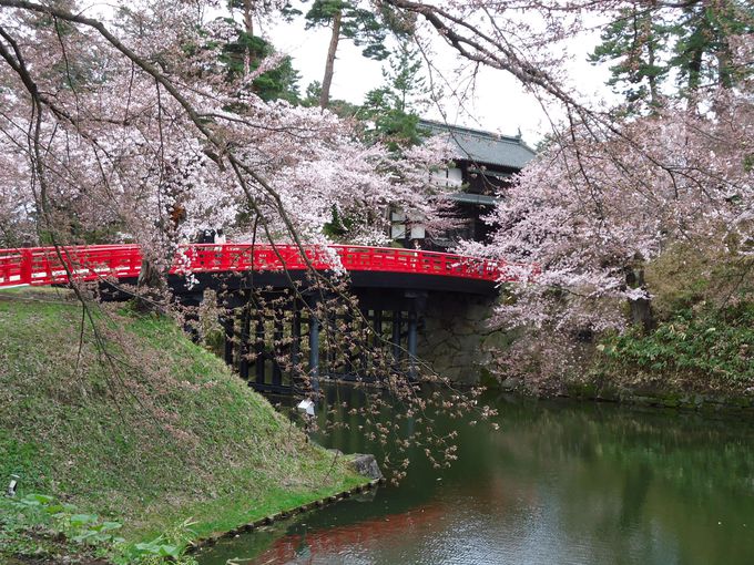 桜の名所「弘前城・弘前公園」で花見と城下町散策を