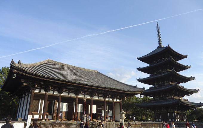 2日目午前：奈良で最初に向かうのは「興福寺」