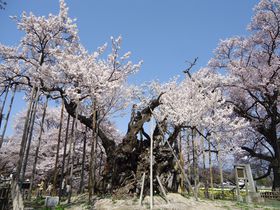 2000NI_hR_唨`R̋LTlC