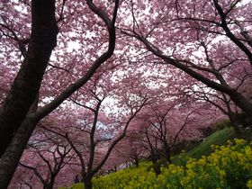 �ΖʂɍL����^���s���N�I�_�ސ쌧���c�������������̉͒Í��������I�̋L���T���l�C��