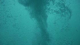 �C�̒��ŗ���!?��̉Q���𒆂��猩����u�A�N�A�G�f�B�v�̋L���T���l�C��