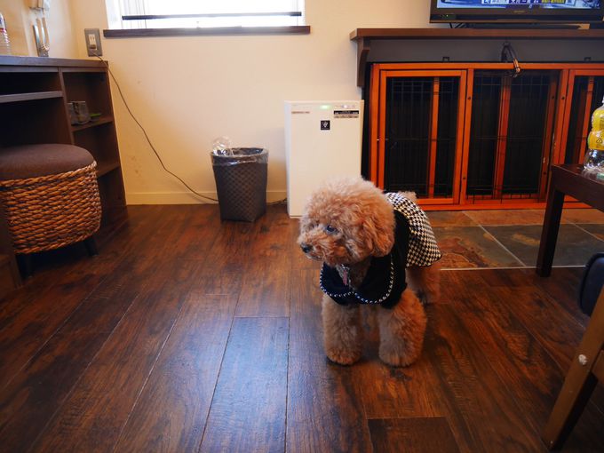 ꂼقȂq͗\񂷂鎞̕Iтy