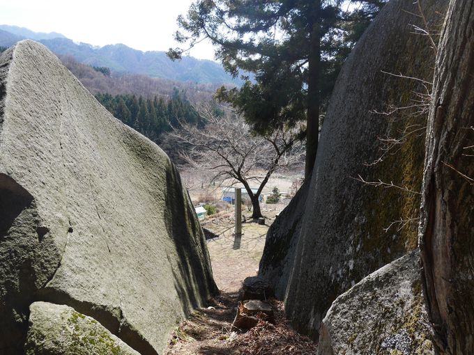 ���΂���ω��l�c�p���X�|�`��