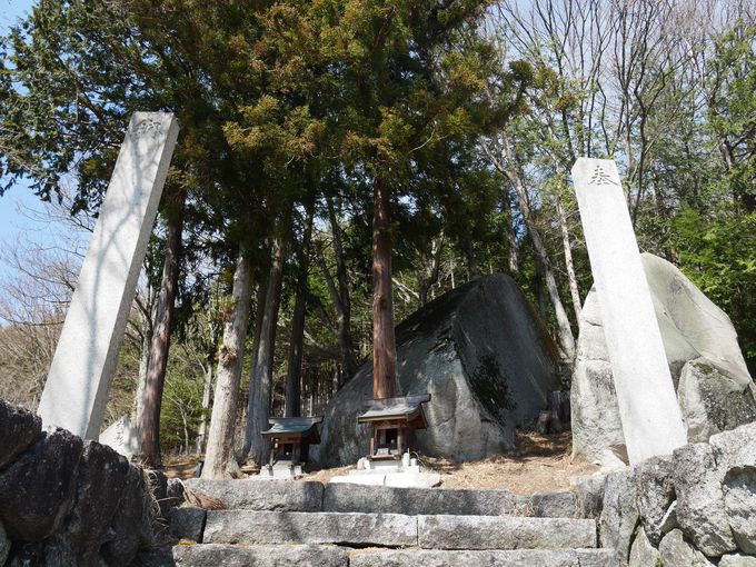 �n��ő�؂ɂ���Ă�������