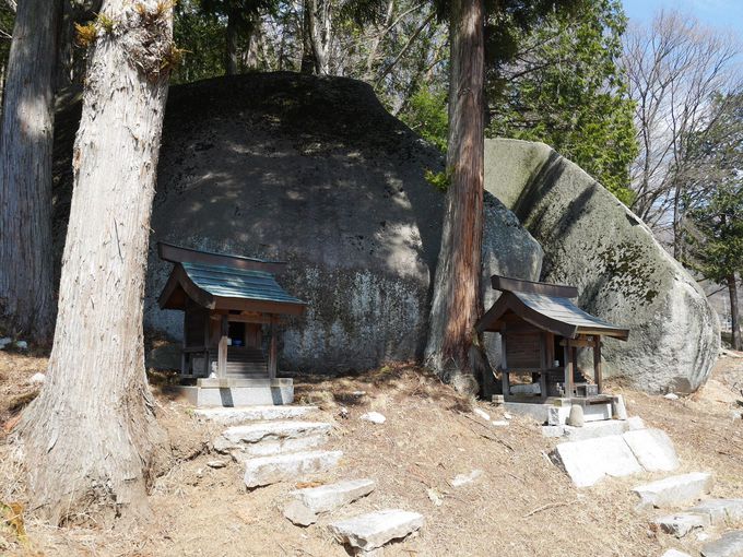 ���΂���ω��l�c�p���X�|�`��