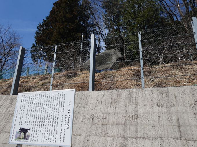 �n��ő�؂ɂ���Ă�������