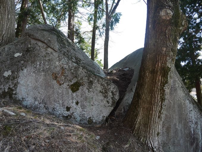 ������Ȑ΁c�ł��X�R�̈�p