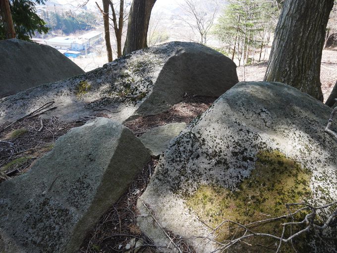 �􂯂��̂͋��΂̗�́H