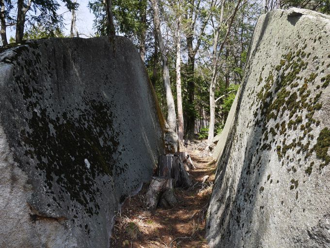 ������Ȑ΁c�ł��X�R�̈�p