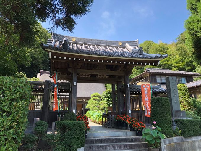 願いを叶える力がハンパないって 平塚の銭洗い辯天 妙圓寺 神奈川県 トラベルjp 旅行ガイド