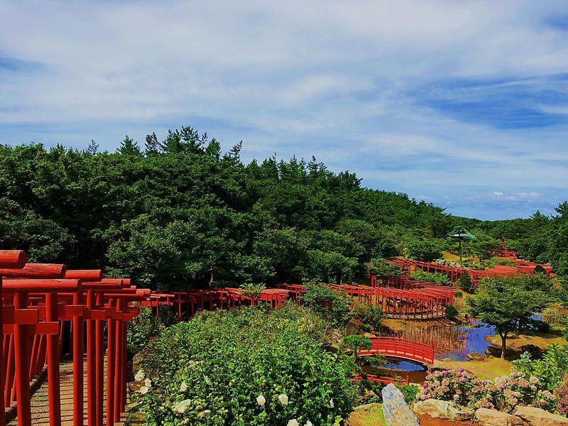 絶景！神明社から眺める神苑の千本鳥居
