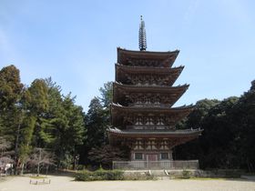 ���s�ň�Ԃ̍��̖����̑�펛�I�Ԃ̑��ȊO�̖��͂��Љ�I�̋L���T���l�C��