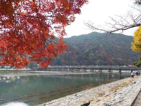 京都初心者にオススメ！伏見、嵐山、金閣寺一巡りのお手軽ツアー！