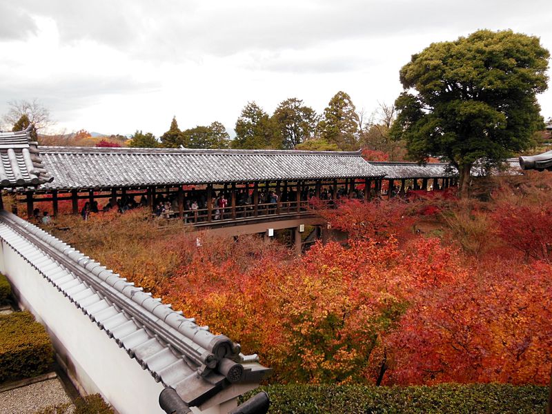 東福寺の穴場的な紅葉スポットは方丈庭園