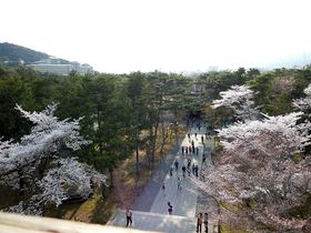 TOɏIOォ猩낷̍͂͂iI̋LTlC