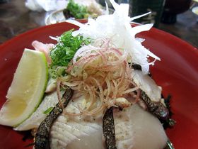 WH̓O5iIƂт̖XꋓɑJI̋LTlC