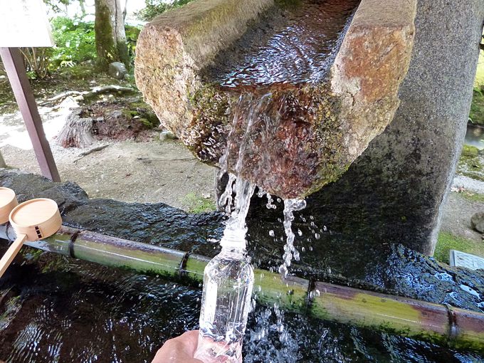 上賀茂神社の神山湧水(こうやまゆうすい)