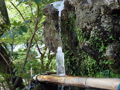 ���s�����߂���I�S�N�S�N���߂�ɏ�̐����⋋�X�|�b�g5�I