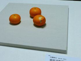 京都国立近代美術館で明治150年展！驚愕の超絶技巧も必見