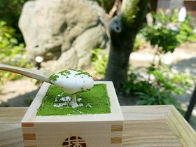 ߋE̐HוlCX|bg15II߂̃XC[cEOV܂̖X猊܂ŏЉ̋LTlC