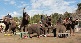 ]EAAہBő̐tus̍vXS̋LTlC