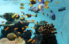  ϗ lC̎{݂ςIwՊCx̋LTlC