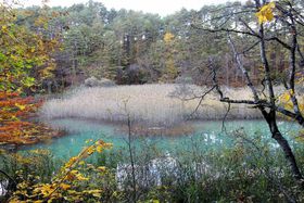 �ω��ɂƂ񂾎l�G�����́I���֒�`�ܐF���E�O���΂𖞋i�̋L���T���l�C��