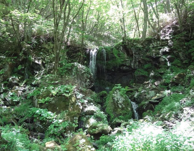 wR]́x郁fB[CŁu܂̑v