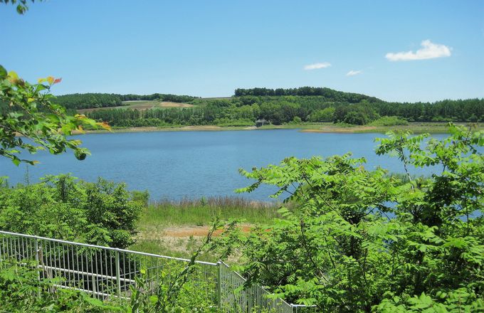 X̌ԂɋPuc΁v͂̃Lxc\I