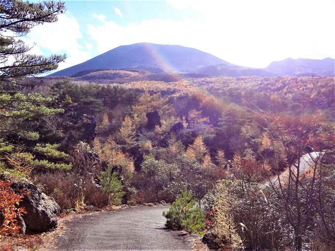 N₩ȐXƖ̗n₪DȂuSov̍gt