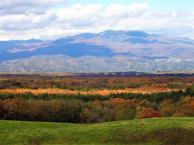 まるで紅葉の海 群馬嬬恋村 北軽井沢で楽しむ秋の絶景 群馬県 トラベルjp 旅行ガイド