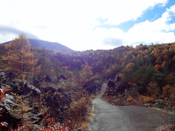 ፷́IuԉHP[mEH[Nv̍gt