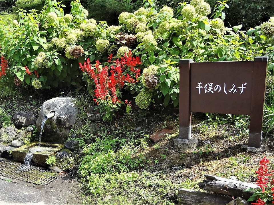 道路沿いに湧き出る群馬県嬬恋村の名水！「干俣のしみず」 | 群馬県